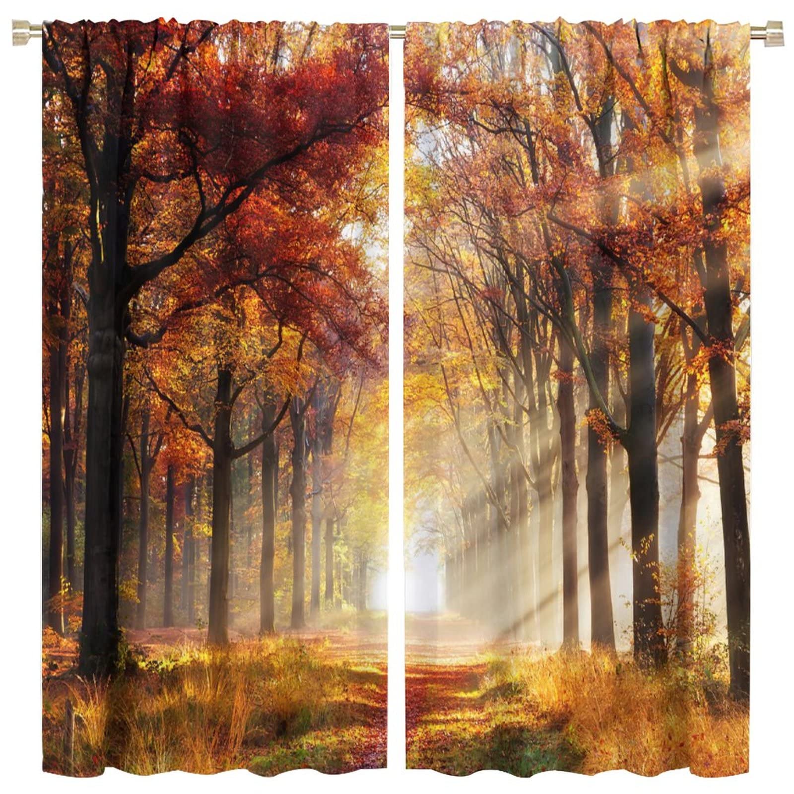 JESTRONRY Nature Kitchen Curtains,Country Forest Trees Sunshine Autumn Scenery,Living Room Bedroom Rod Pocket Window Drapes 2 Panel Set W52xL84in