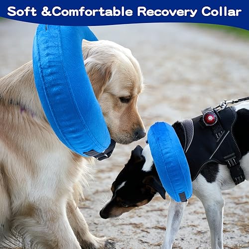Miniatura 7 de Collar de cono para perro para después de la cirugía, conos suaves para perros y gatos medianos, alternativa al collar de cono isabelino inflable