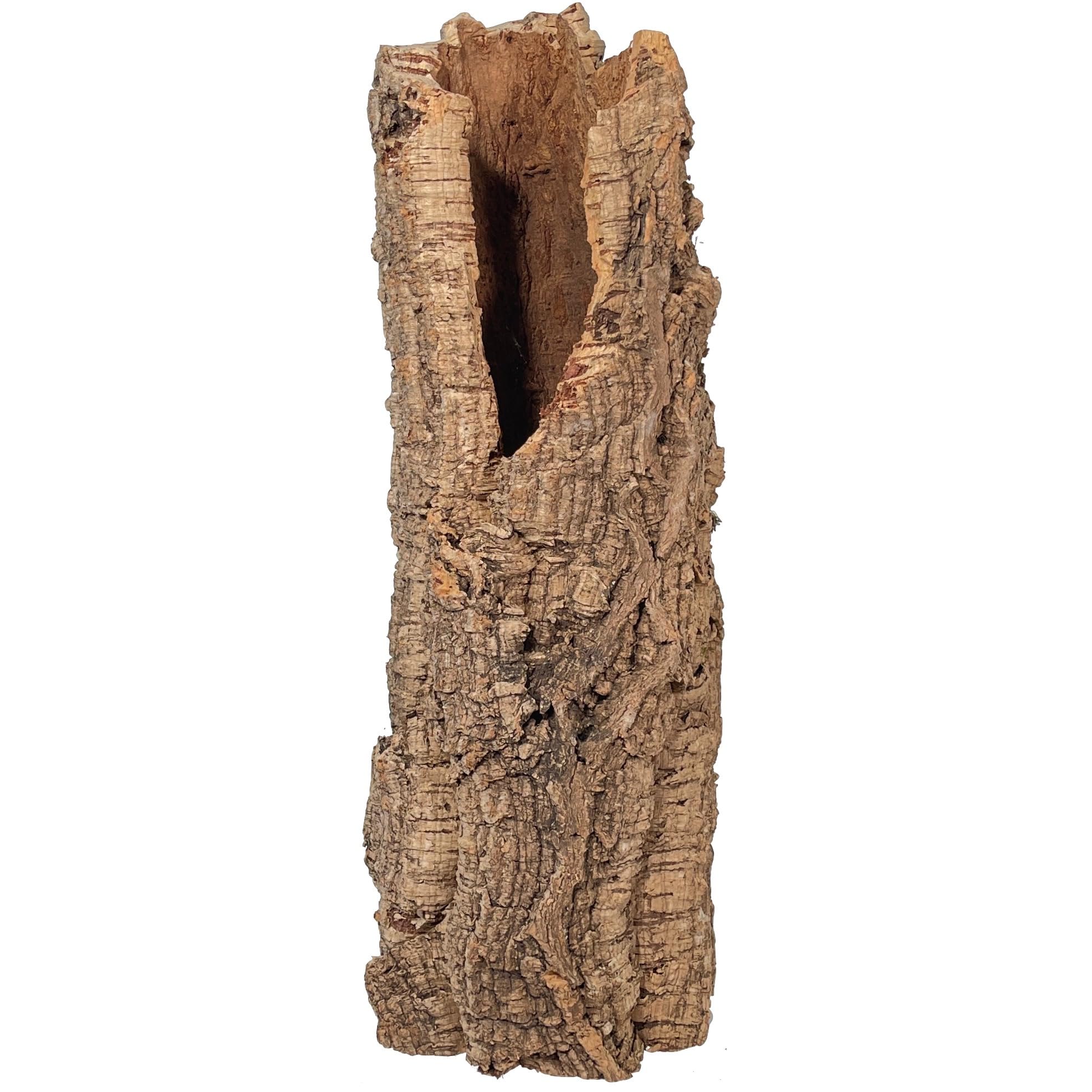 Korkrinde für Terrarien oder als Deko Mind. 40 - max. 70 cm lang; Außendurchmesser: ca. 20-30 cm