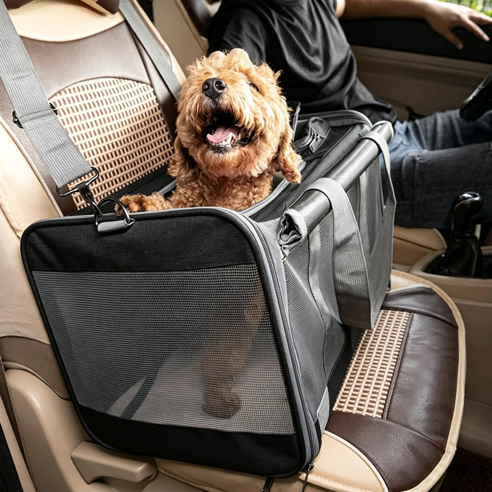 Transportín para Mascotas de poliéster con múltiples Aberturas de ventilación, Ideal para Salidas y Viajes Veterinario, Elegante Bolso para Mascotas