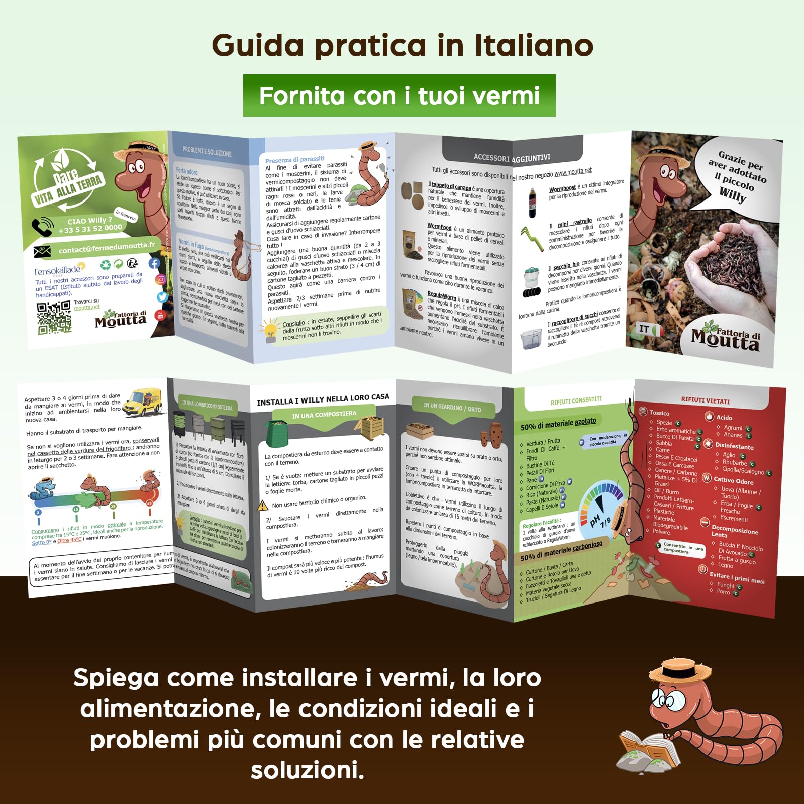 Lombrichi da 500g (circa 1,000 pz.) | Vermi vivi da terra Eisenia, crea un compost con i tuoi rifiuti organici - Per vermicompostaggio/composter/giardino