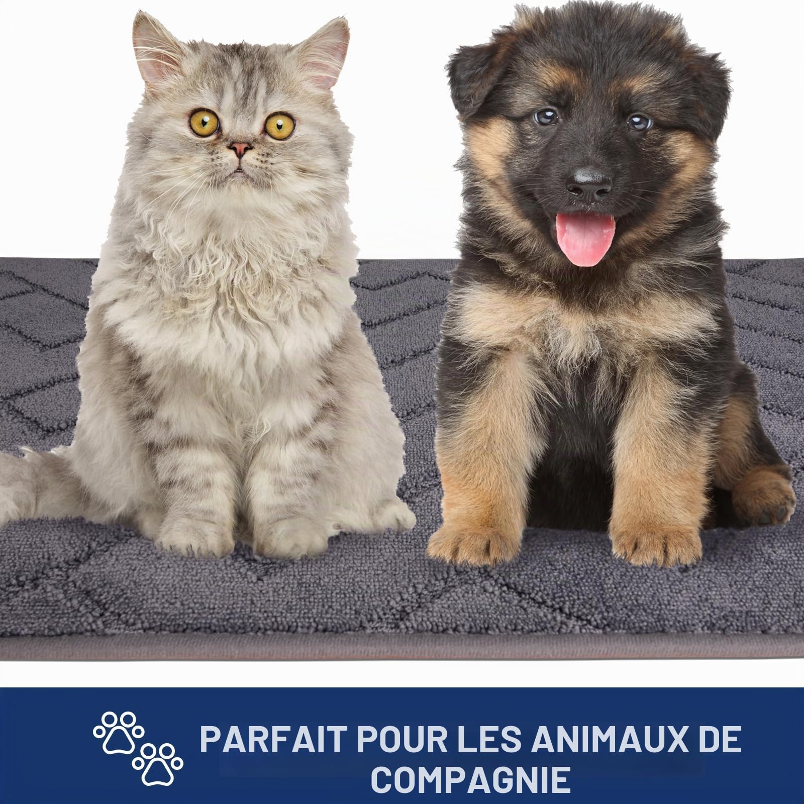 FCSDETAIL Paillasson Interieur 86 x 150 cm, Tapis d'Entrée Antidérapant et Lavable en Machine, Tapis de Sol Douces Absorbantes pour Chien, Entrée, Porte et Couloir