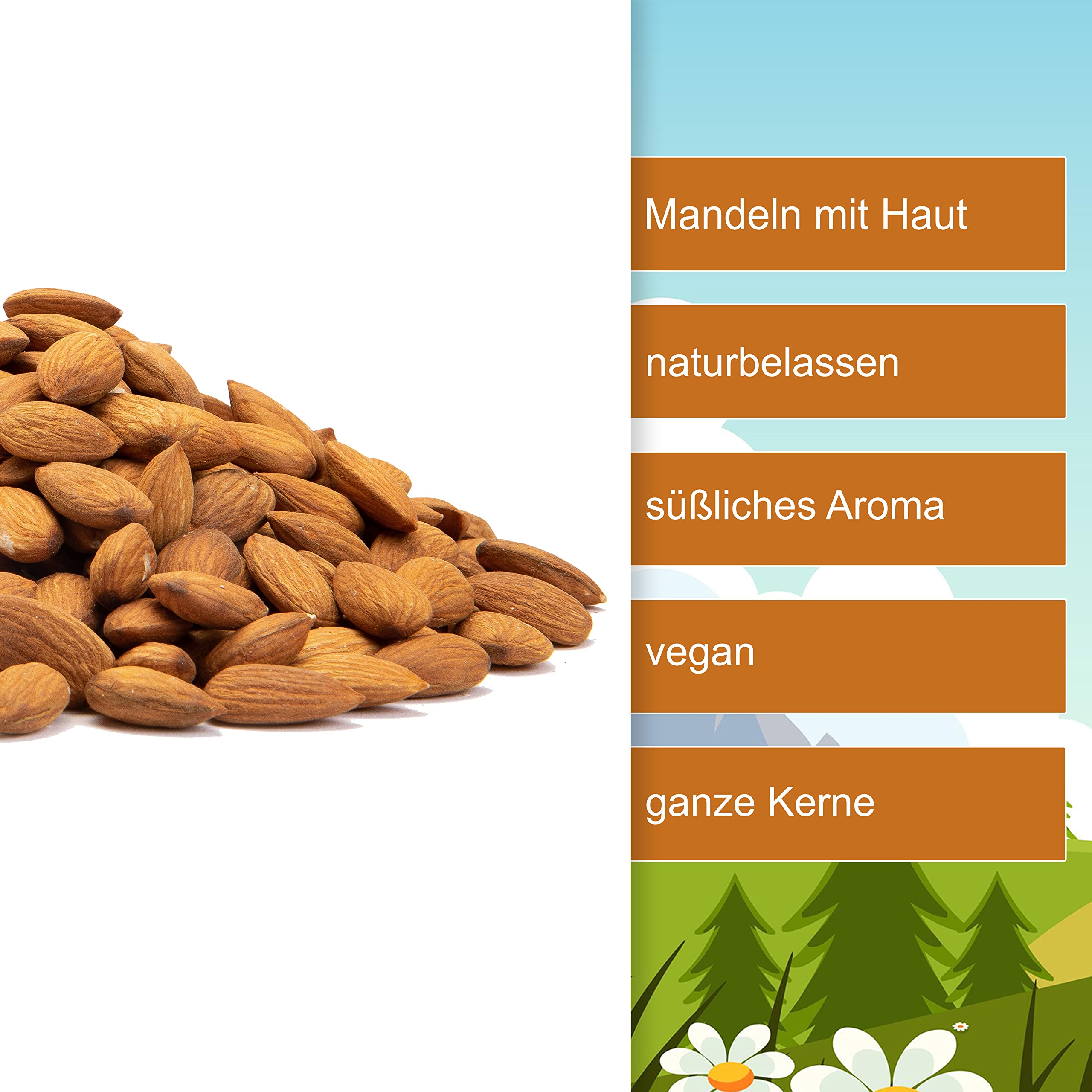 Mandeln mit Haut 3,5kg – naturbelassene ganze Mandelkerne | ungesalzen, ungeröstet & vegan | Mandeln natur – ohne Schale, süßlich, knackig | 100% aus Australien – im Eimer