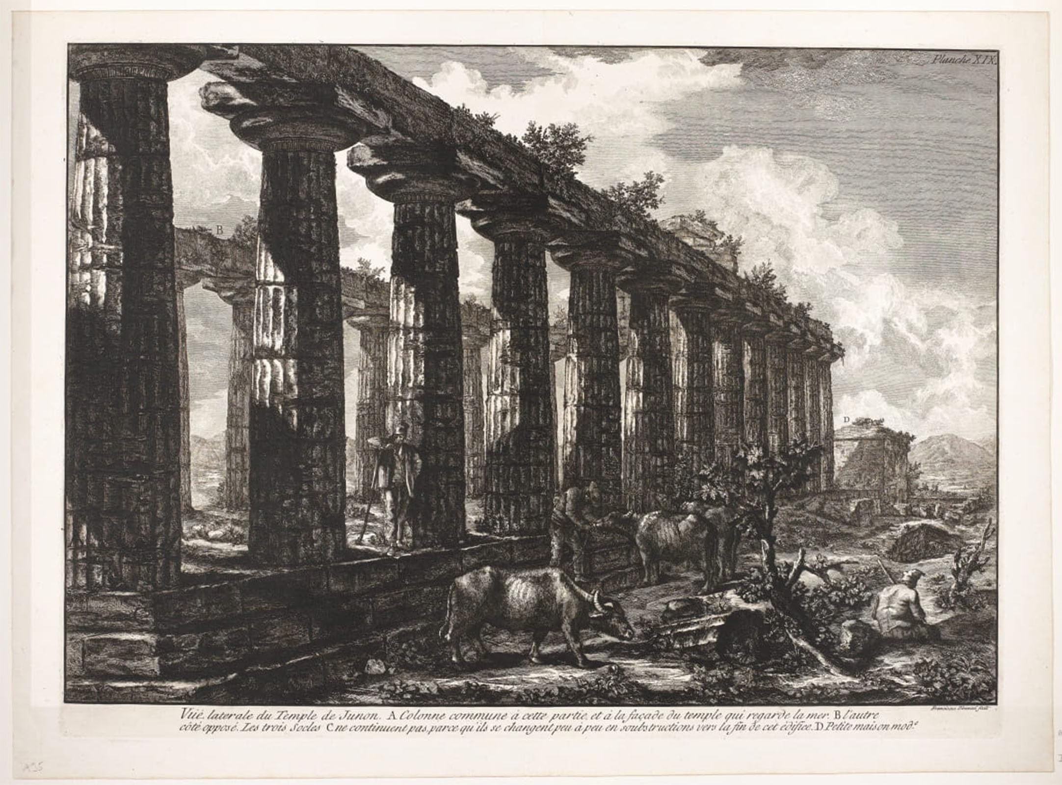 POSTERIIk Vintage Print Pop Art Landscape Artwork Temple of Athena in Paestum by Francesco Piranesi Art Prints for Office Home Decor 60x90cm