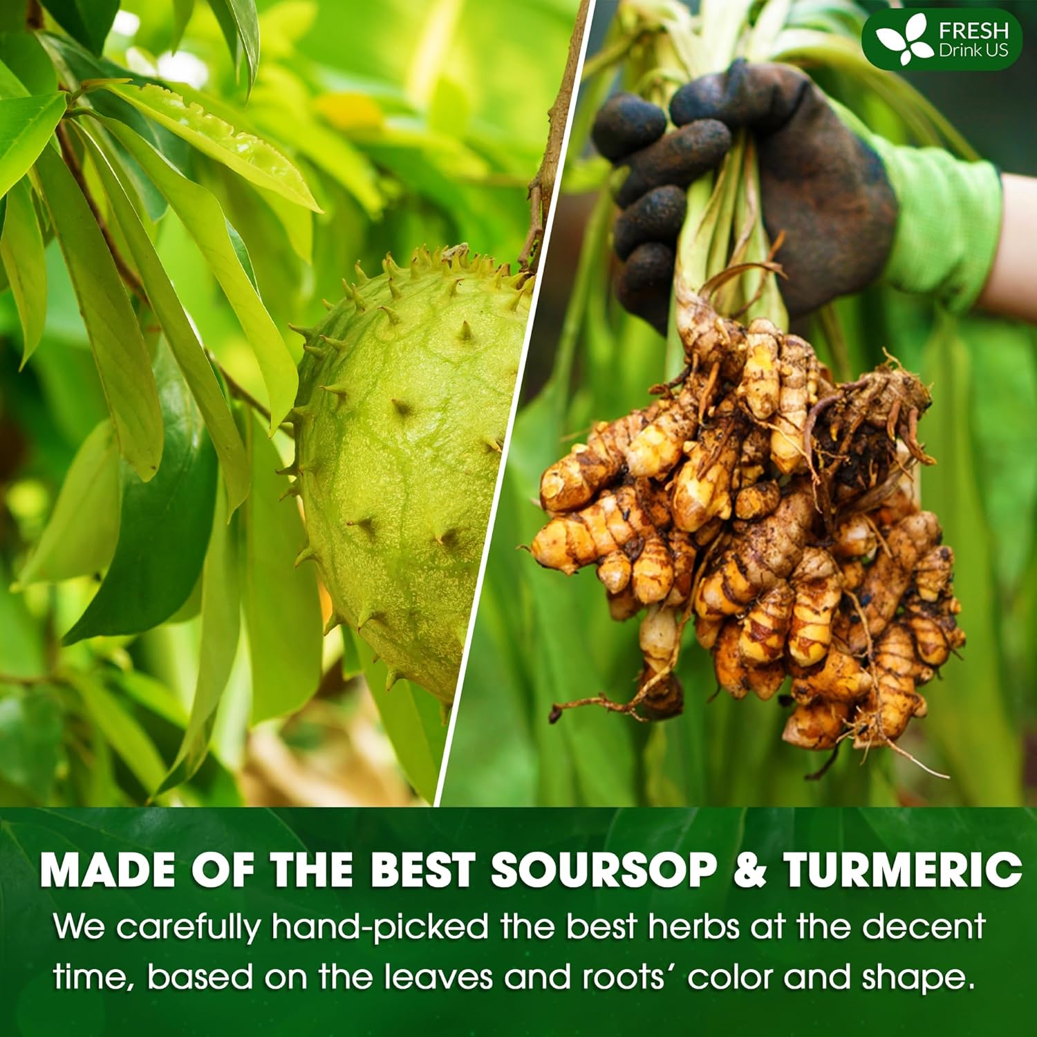 FreshDrinkUS, Premium 60 Soursop Turmeric Tea Bags, 100% Natural, Blend of Soursop Leaves, and Turmeric Root. Made with Natural Material Tea Bags. No Sugar, Vegan. | Premium, 100% Natural, No Sugar, Vegan