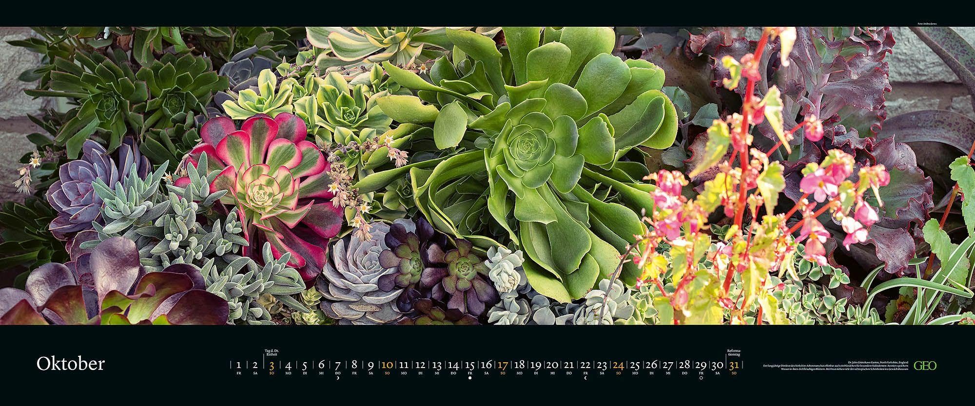 GEO Panorama: Die schönsten Gärten 2027: XXL Wandkalender 120x50cm mit 12 Gartenfotografien, deutschem Kalendarium und Spiralbindung | XXL Wandkalender 120x50cm mit 12 Gartenfotografien, deutschem Kalendarium und Spiralbindung