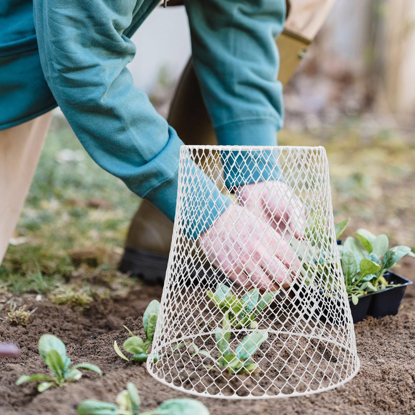 GANAZONO Cloche De Jardin Couvertures De Plantes en Cloche en Grillage Protections De Cage De Plantes en Métal Contre Les Animaux Protections De Plantes en Métal pour Empêcher Les Lapins
