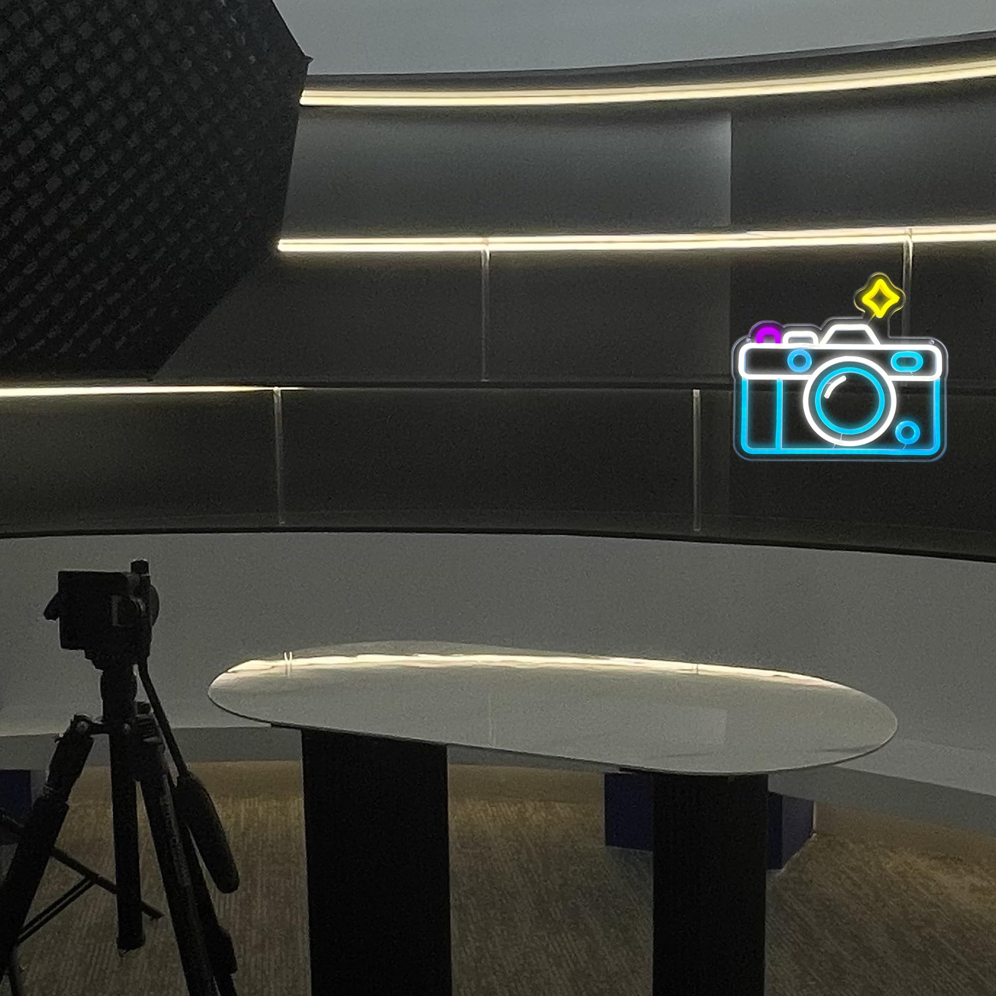 Insegna al neon con fotocamera, dimmerabile alimentata tramite USB, simpatica luce al neon per studio fotografico, decorazione da parete per feste, bar, negozi, studi fotografici, soggiorno