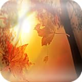 Collection of best wallpapers and backgrounds images.