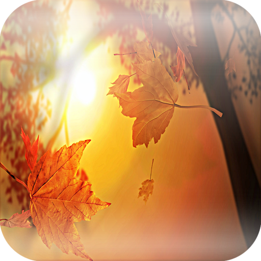 Collection of best wallpapers and backgrounds images.