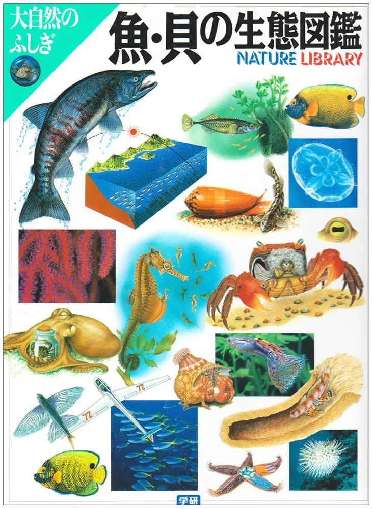 魚・貝の生態図鑑 (大自然のふしぎ) |本 | 通販 | Amazon