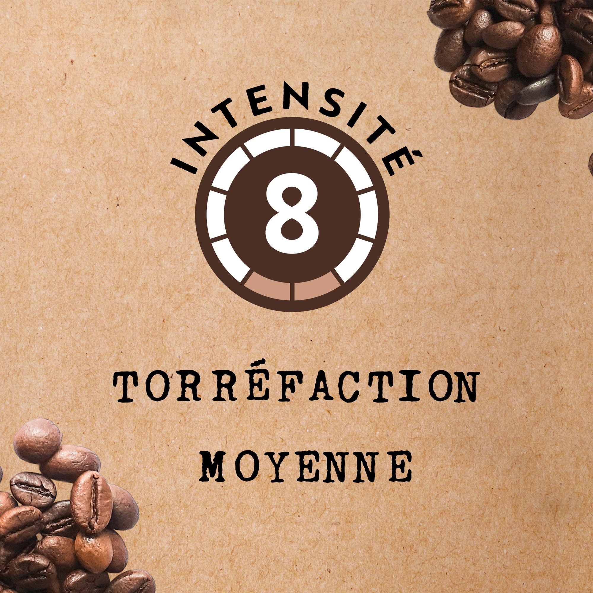 Cafés Méo - Café en Grains Dégustation Pur Arabica - 4 kg - Intensité 8/10 - Arômes Authentiques, Plein et Long en Bouche - Lot de 16 x 250 gr