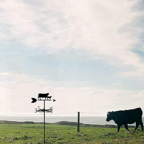 Miniatura 5 de Soporte de metal de vaca Indicador de dirección del viento de la paleta del clima, montaje en techo de granja, jardín de granja al aire libre,