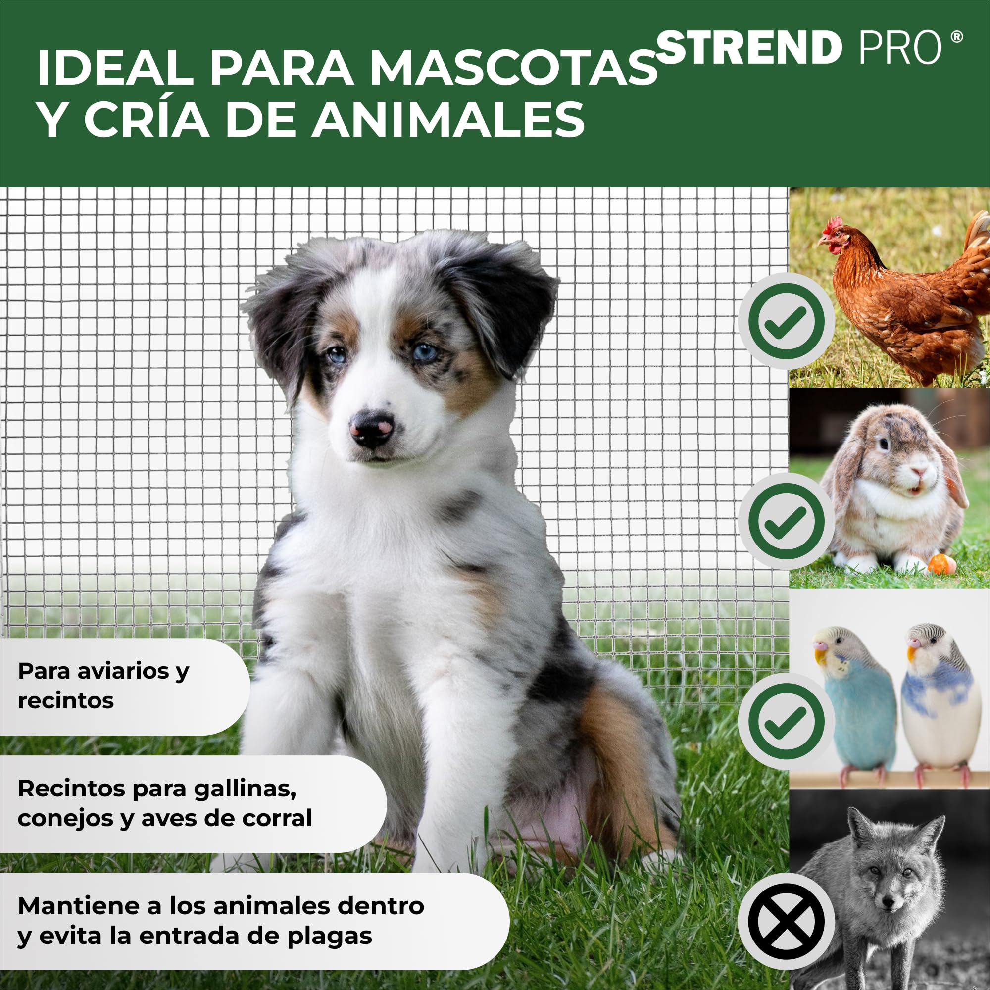 STREND PRO Malla Metálica | Soldada - Galvanizada | 1 m x 10 m | 0,8 mm, 12,7 x 12,7 mm | Malla Anti Topillos, Malla Conejos, Malla Liebres, Malla Pajareras | Malla Conejos, Gallinero