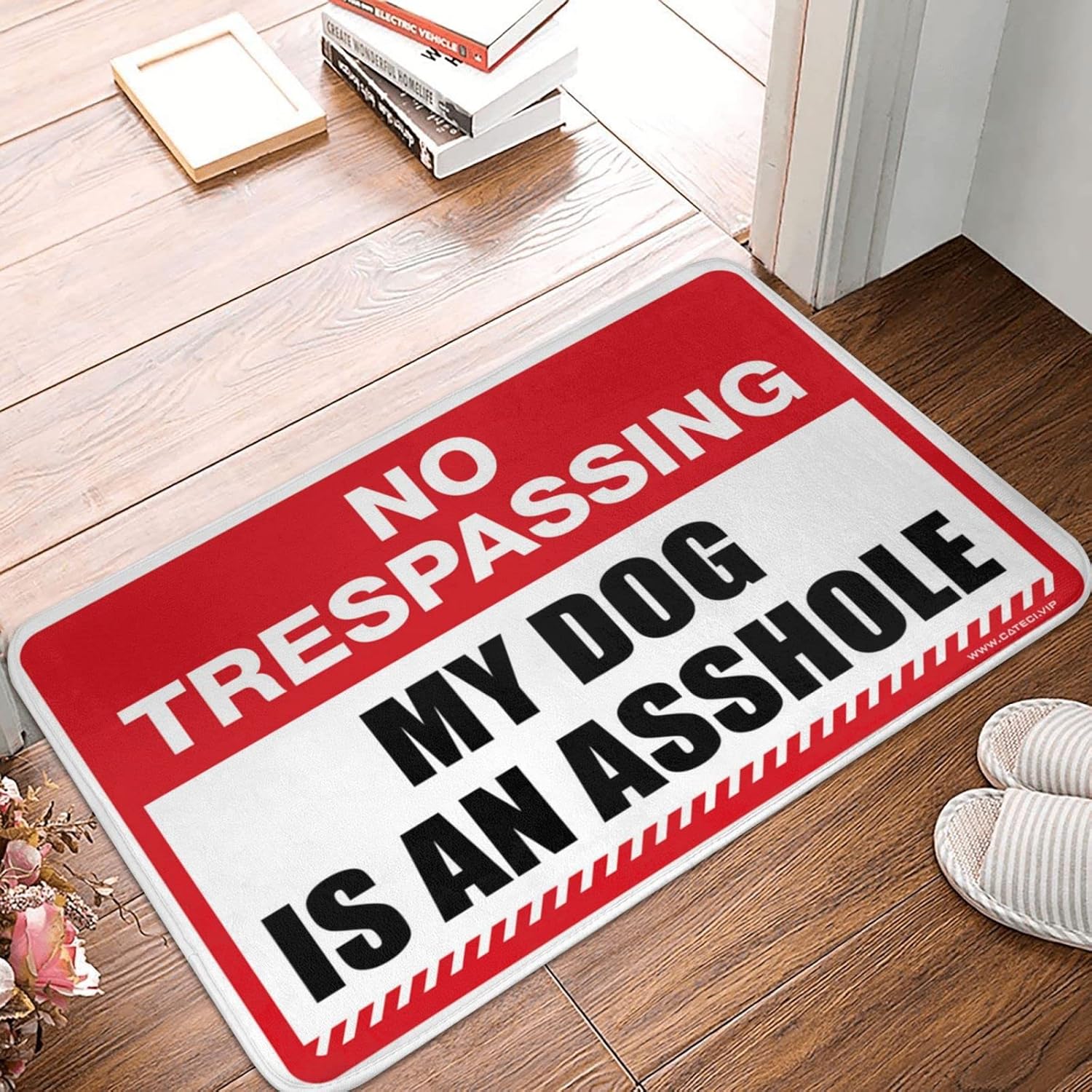 Summer Outdoor Mat No Trespassing My Dog is an Assholes Rug Farmhouse Kitchen Rugs Door Mats for Home Entrance (Size : 65X90CM)