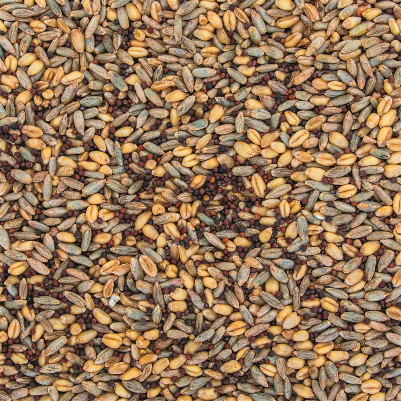 Evolved Harvest Hail Mary / 20LB