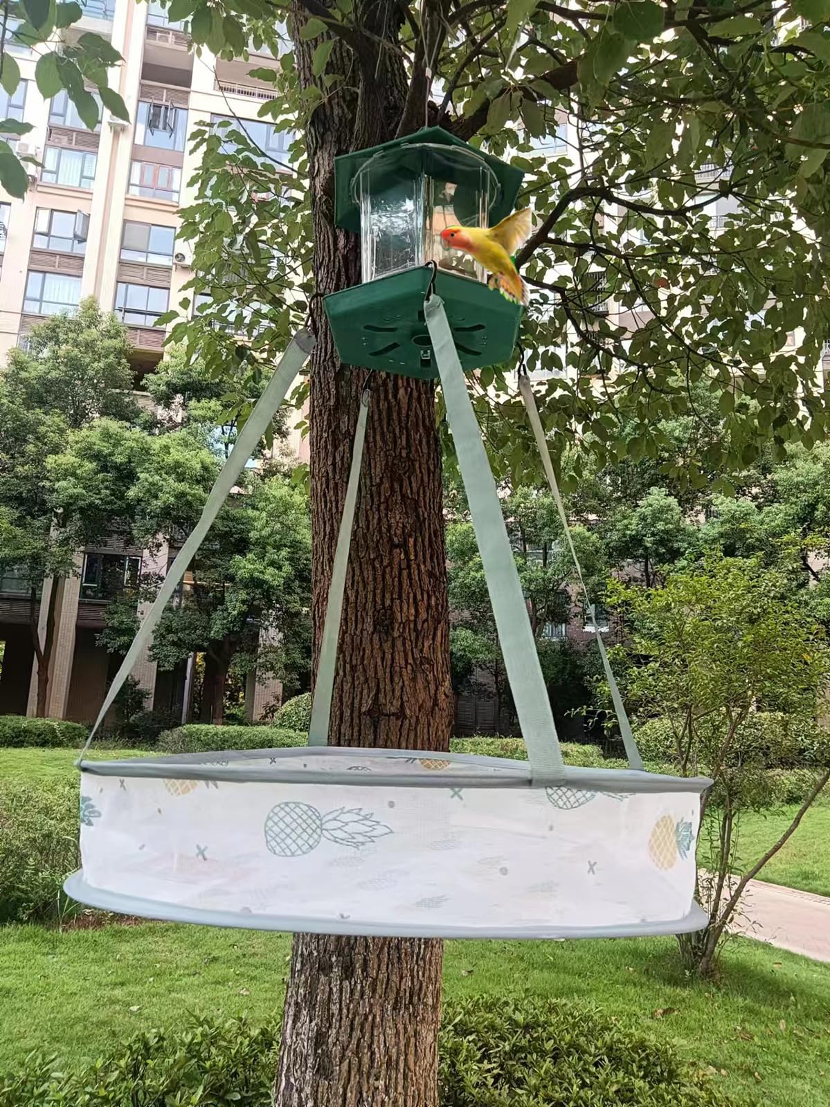 Plateau Récupérateur De Graines Pour Oiseaux, Installation