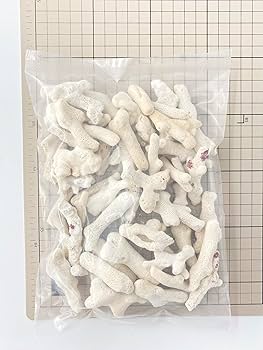 Amazon | 【貝殻の問屋さん】サンゴ片【約3～8cm/約500g