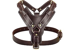 PET ARTIST Leather Dog Harness for Large Dogs
