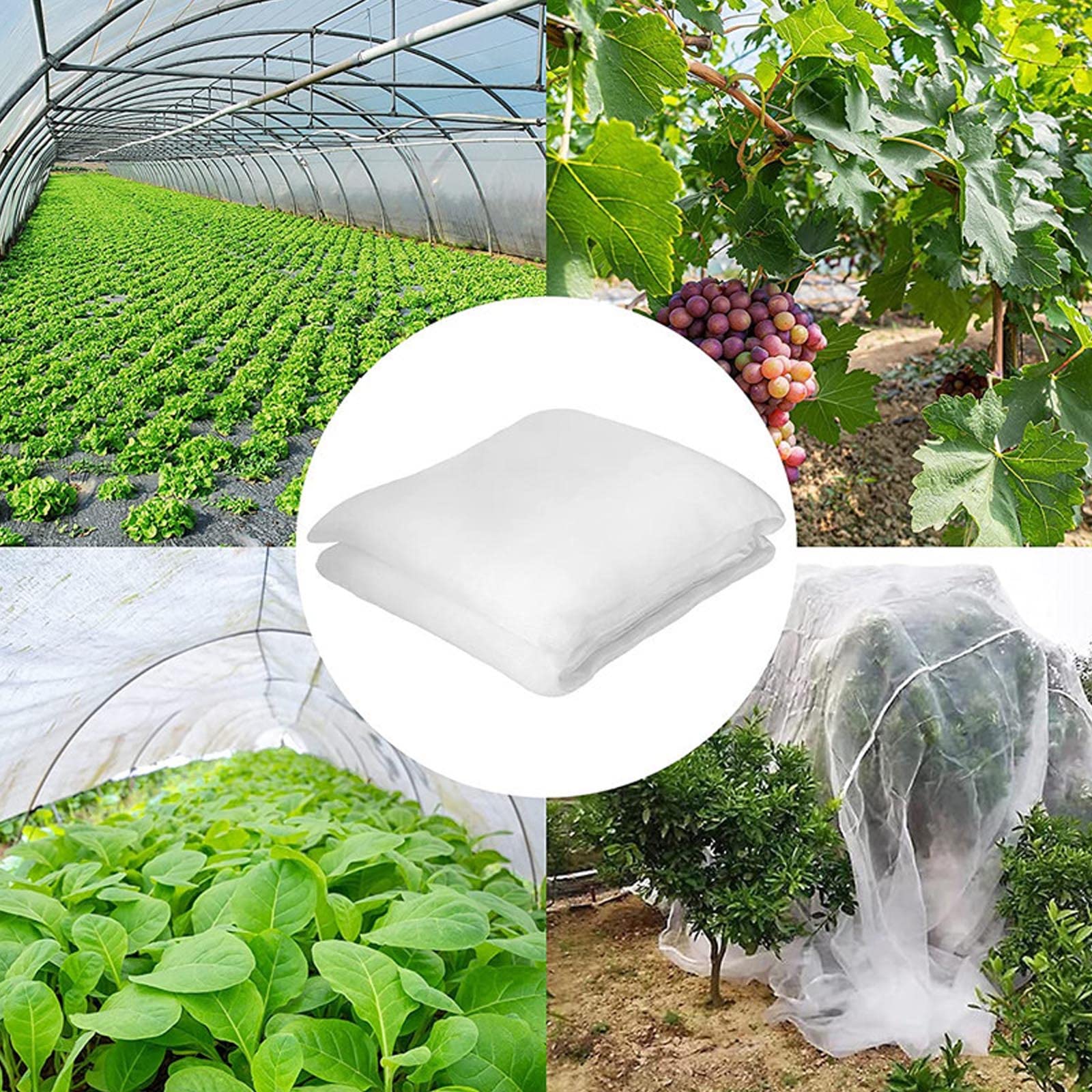 Rete per insetti a maglie strette， Garden Netting Plants Vegetables Fruits Flowers Protection Insects Birds White Multiple Sizes(1.5x10m/4.9x32.8ft)