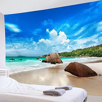 Amazon Co Jp Acligi 夏の風景画 タペストリー ビーチと海 青空と白雲 おしゃれ壁掛け 南国風景 壁飾り インテリア 多機能 布ポスター 部屋飾り カーテン 間仕切り お店 雑貨 個性ギフト 0ｘ150cm ホーム キッチン