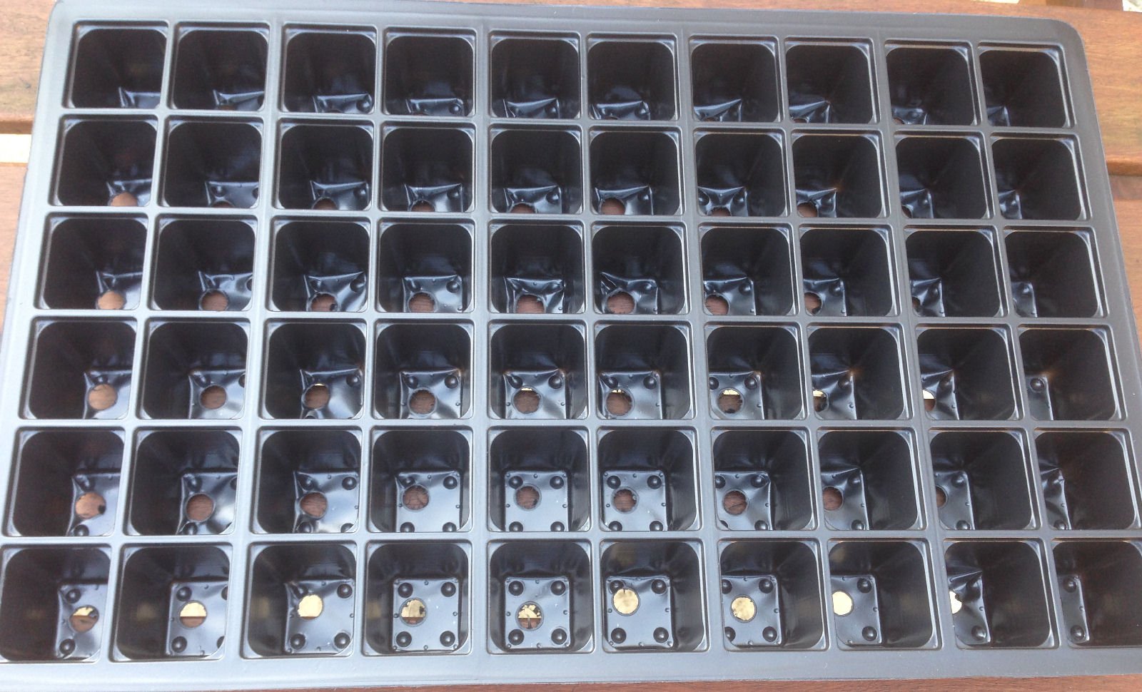 Viridis Hortus 60-35 Cell Insert Trays - 10 X 60-35 Cell Shallow Plug Plant Inserts For Seed Trays Vacapot V60-35 Product Made From 100% Recycled Materials.
