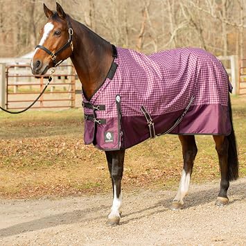 Equinavia Norse Lightweight 100g Fill Horse Rain Blanket | Waterproof Turnout Sheet - Black - 66 in - Plum Wine/Orchid Haze - 72 in