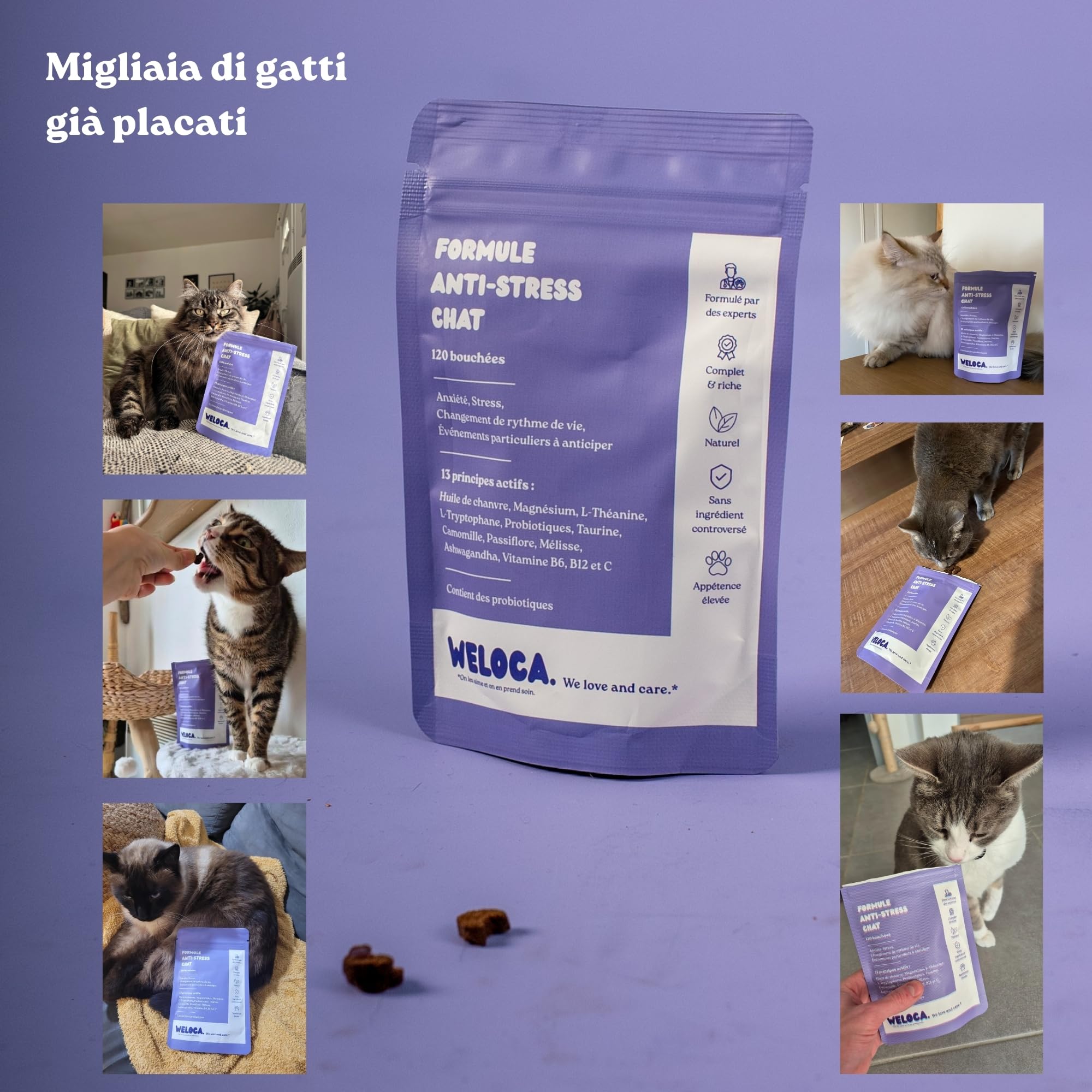 Weloca Anti-Stress Gatto - Anti marcatura urinaria, Anti graffio, lenitivo Contro i Problemi comportamentali del Gatto - 13 principi Attivi Naturali - Calmante Gatto - Imballaggio Francese