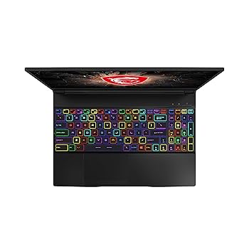 MSI Gaming GE65 Raider 9SF-050IN 2019 16-inch Laptop (9th