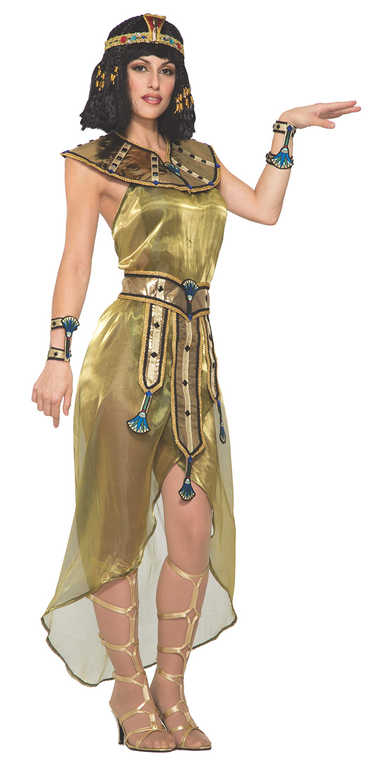 Amazon.com: Forum Novelties Costume Toga Dress, Gold : Clothing, Shoes &  Jewelry