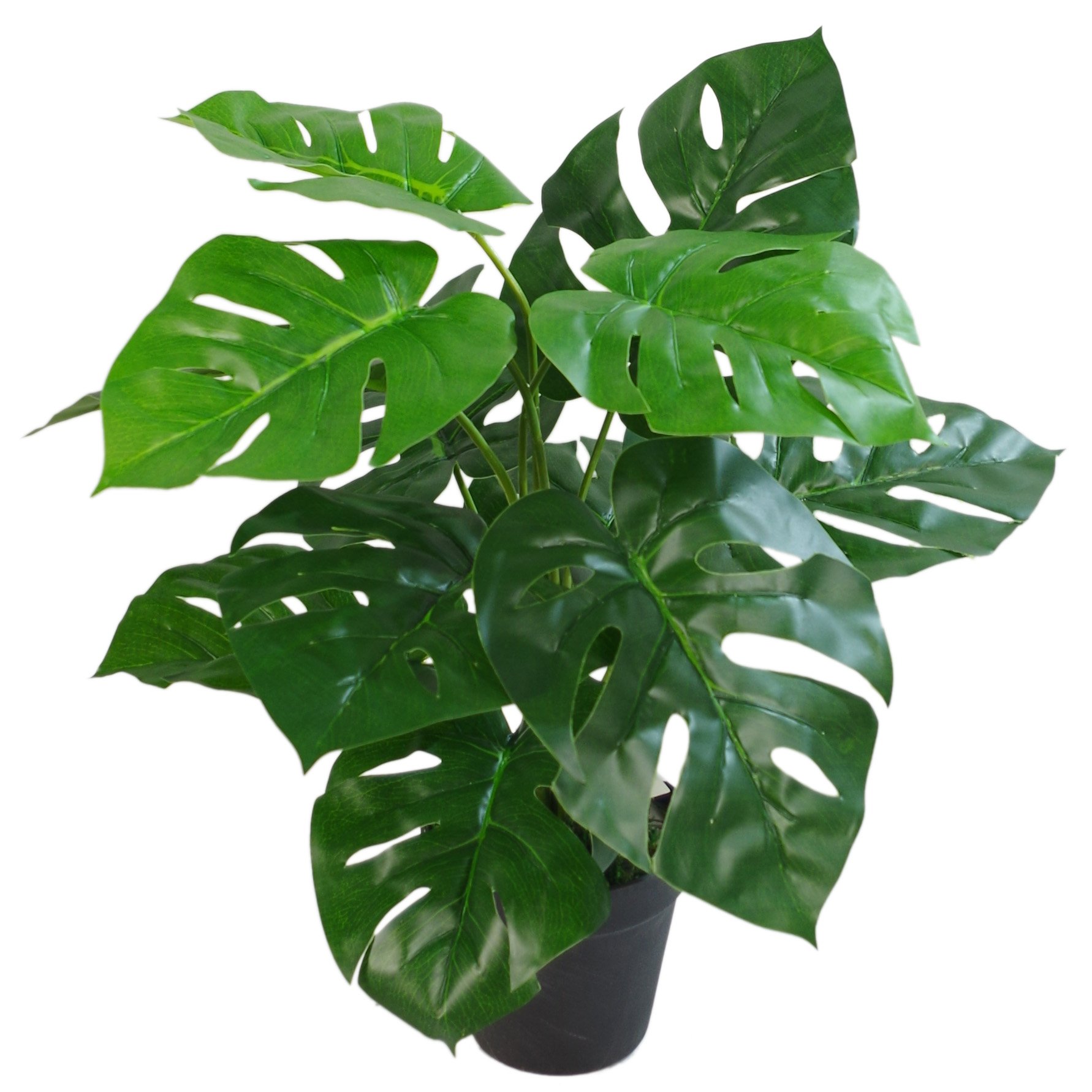 Leaf Leaf-7068 - Pianta Artificiale di Monstera, 60 cm, Vaso Nero