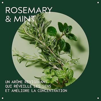 AVEDA Rosemary Mint Purifying Shampoo Purifying Shampoo 1000ml