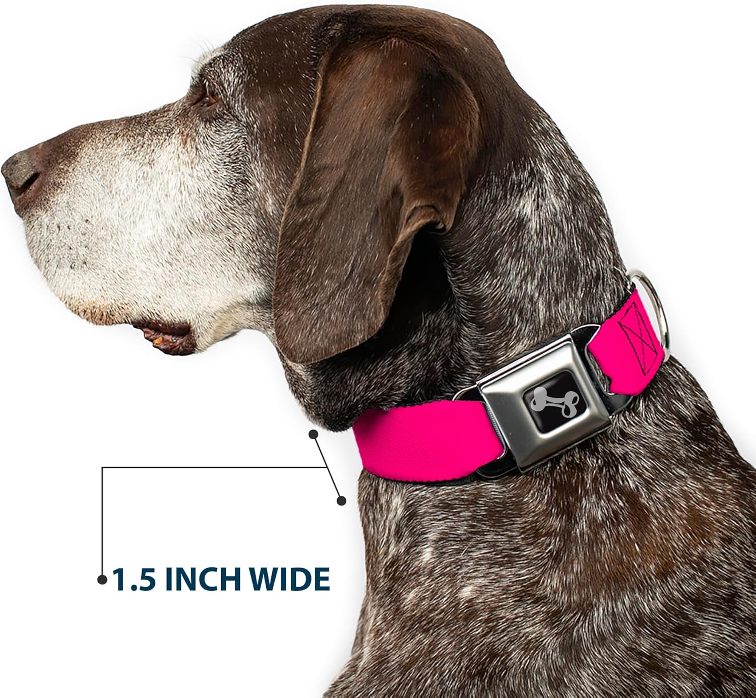 Dog Collar Seatbelt Buckle Neon Pink Print 9 to 15 Inches 1.0 Inch Wide
