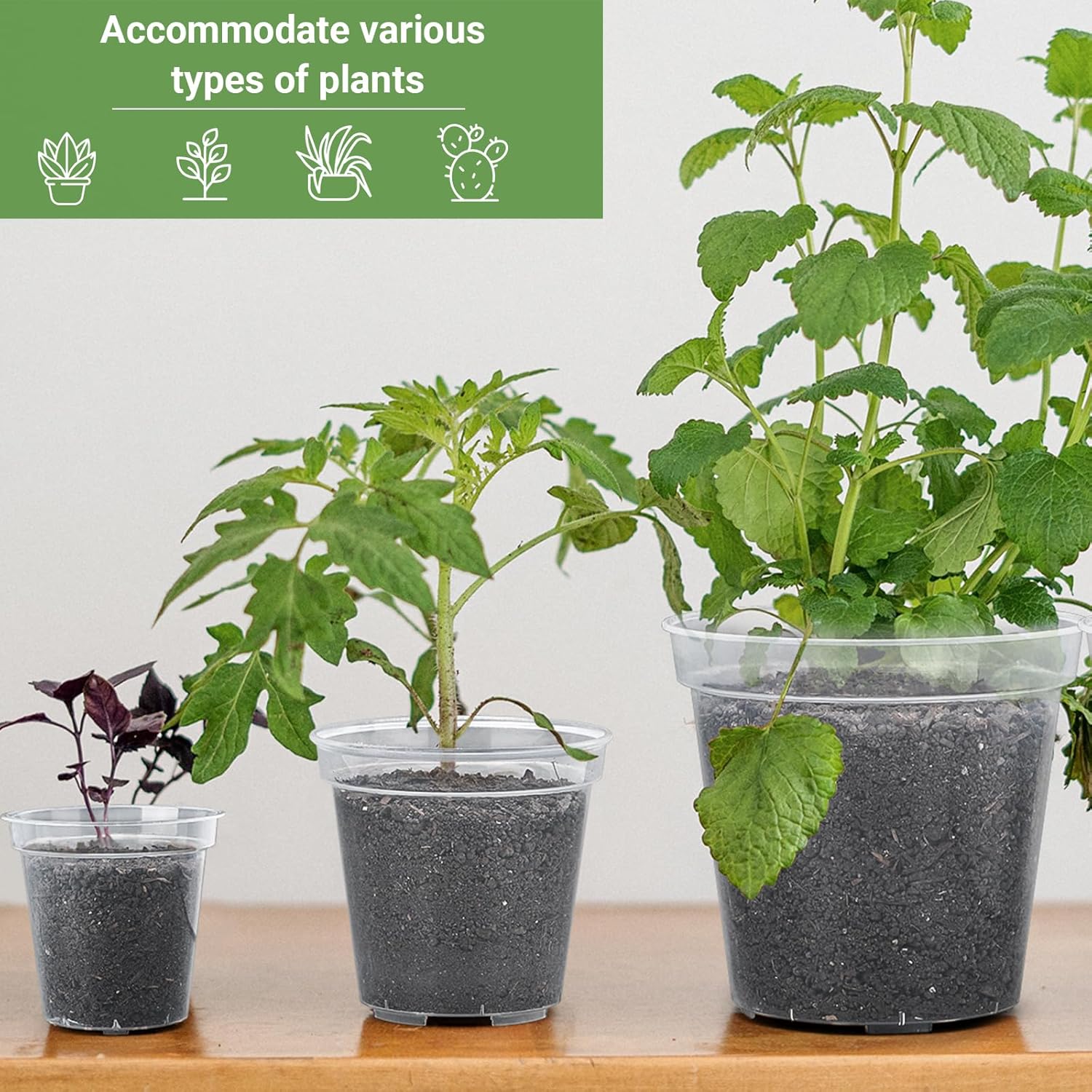 GREANER 3/4/5 Inch Clear Nursery Pots，2 Pack Suction Cup Shelf for Planters, 12 * 6 Inch Acrylic Heavy Kitchen Window Shelf, Reinforced Flower Seed Starter Pot for Indoors Outdoor Plants