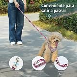 Ver la foto 6