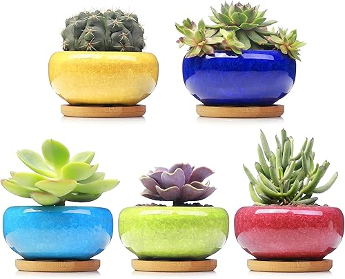 LAMDAWN Lindas macetas de cerámica para suculentas, macetas de 3.7 pulgadas con drenaje y bandeja de bambú, juego de 5 plantas no incluidas (colores LAMDAWN Lindas macetas de cerámica para suculentas, macetas de 3.7 pulgadas con drenaje y bandeja de bambú, juego de 5 plantas no incluidas (colores
