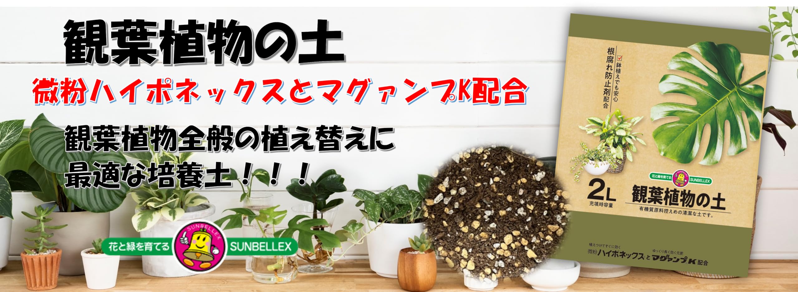 常備浴 10種の植物エキス配合　３箱 Amazon | サンベルックス(SUNBELLEX) SUNBELLEX マグァンプk入り 観葉
