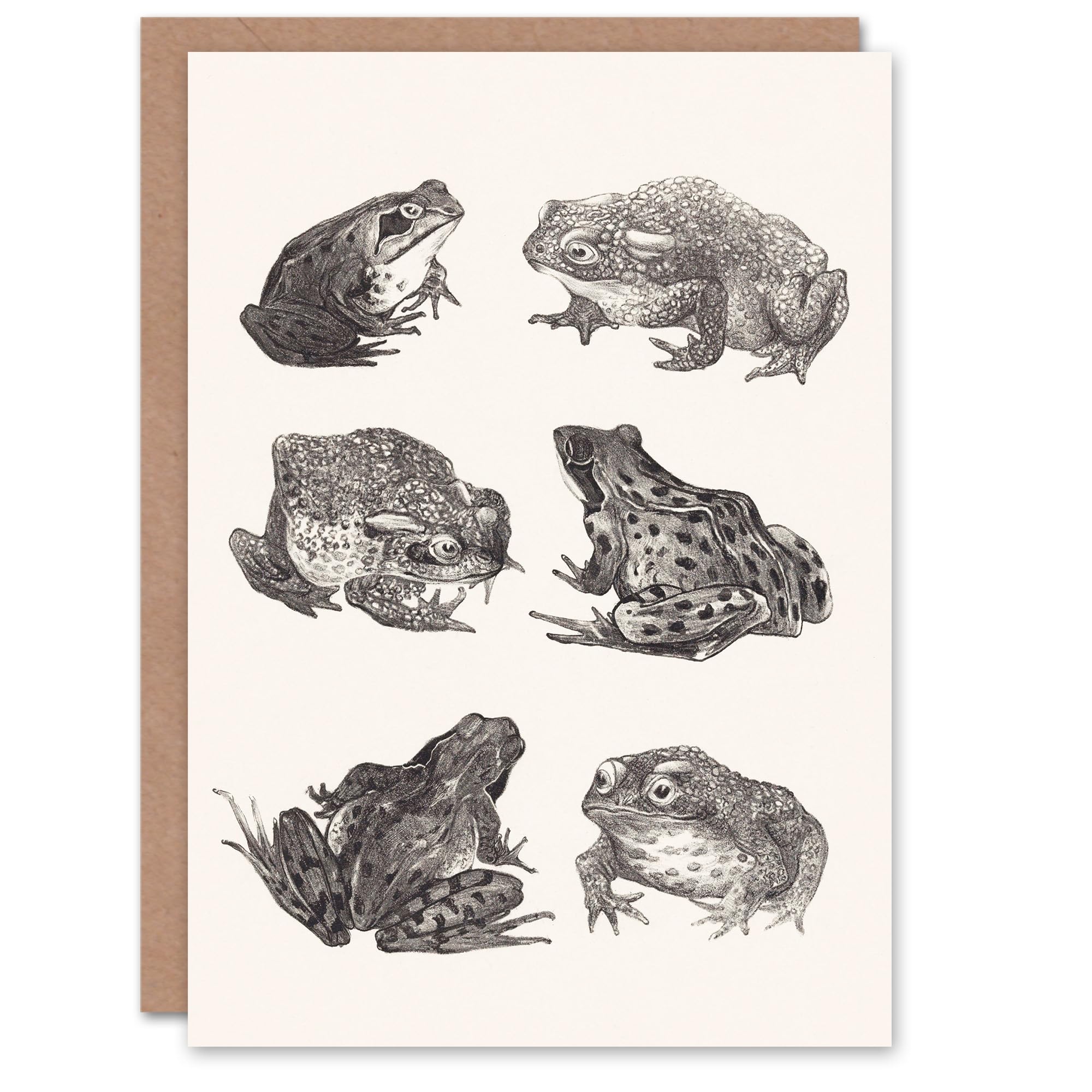 Artery8 Theo van Hoytema Six Frogs & Toads Pencil Drawing Greeting Card