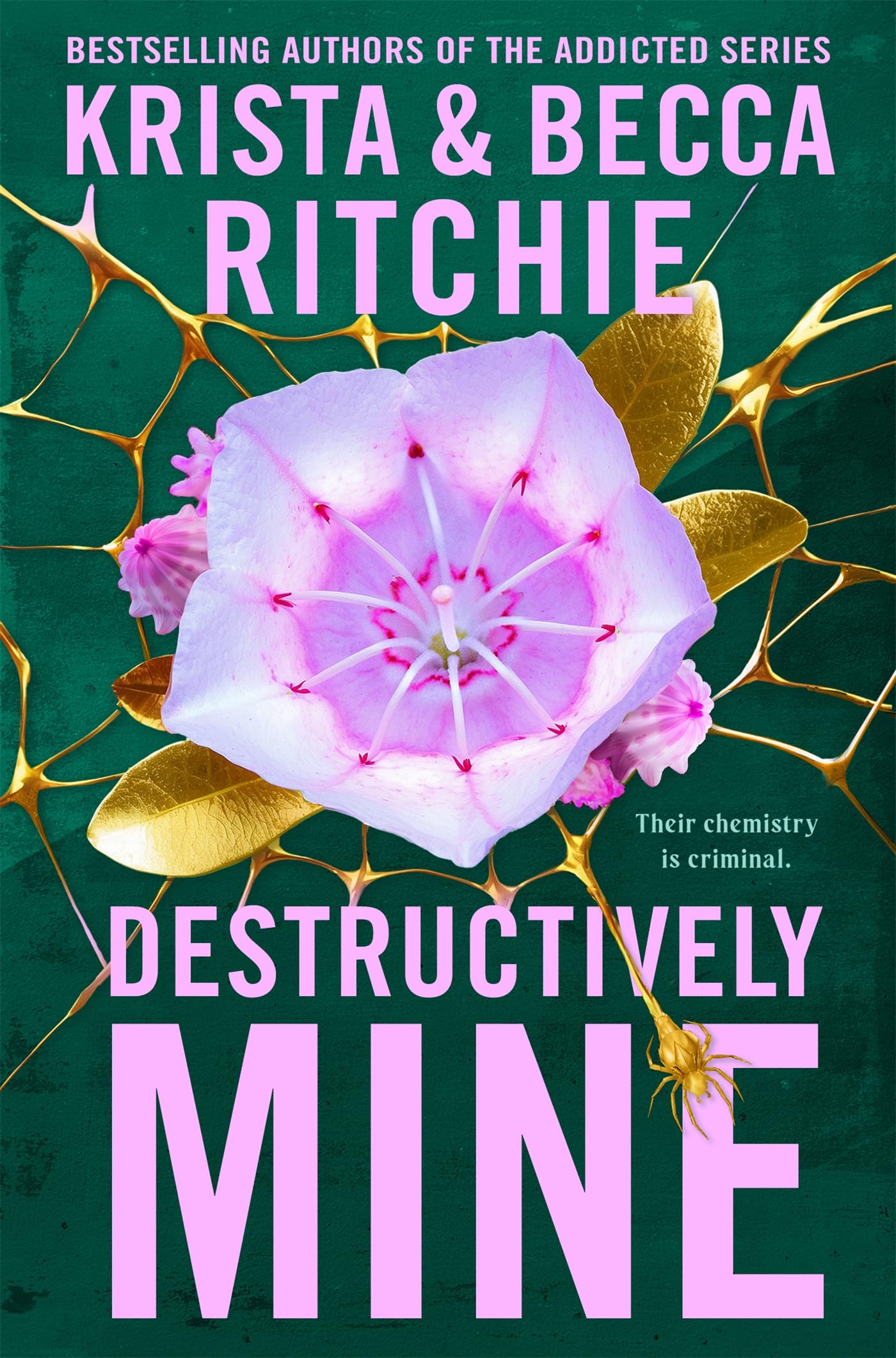 Destructively Mine: Deliciously angsty small town romance from TikTok sensations and authors of the Addicted series (Webs We Weave Book 2) (English Edition)