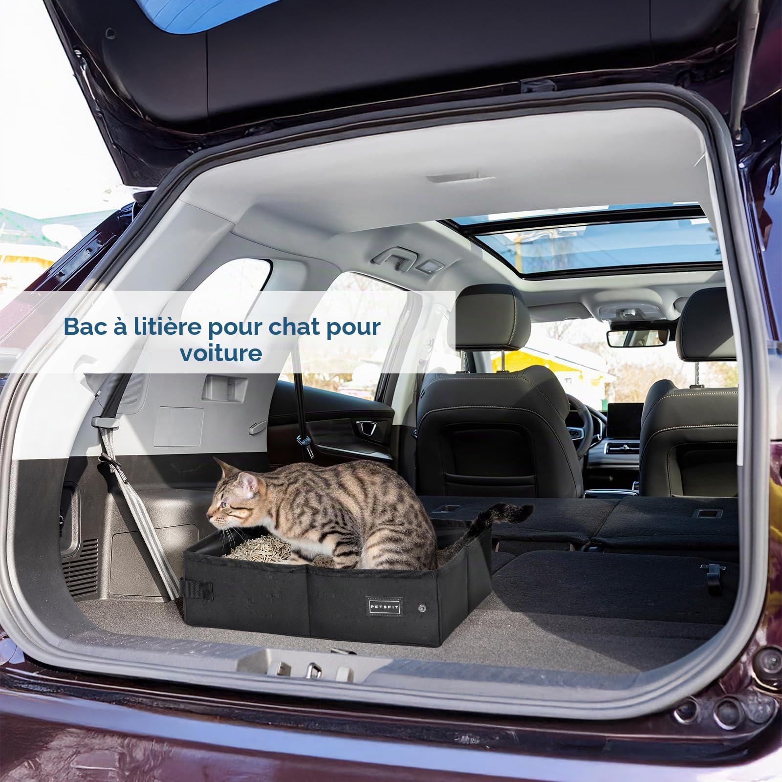 Petsfit Portable Litiere de Voyage pour Chat Pliable, Super étanche, Robuste et Durable, Lavable Bac à Litière transportable Chat pour Maison, Hôtel, Camping,XL Voiture, Bureau