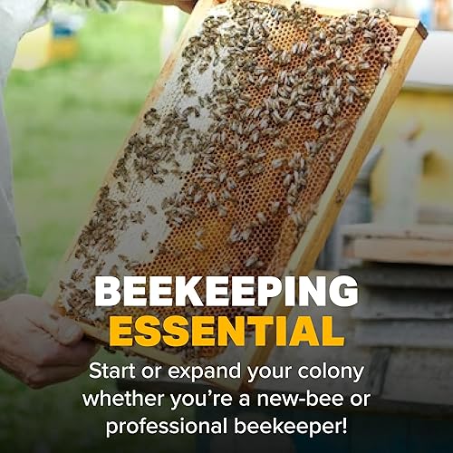 Miniatura 5 de Mann Lake Tarro de plástico en relieve de reloj de arena con tapa, 1 libra