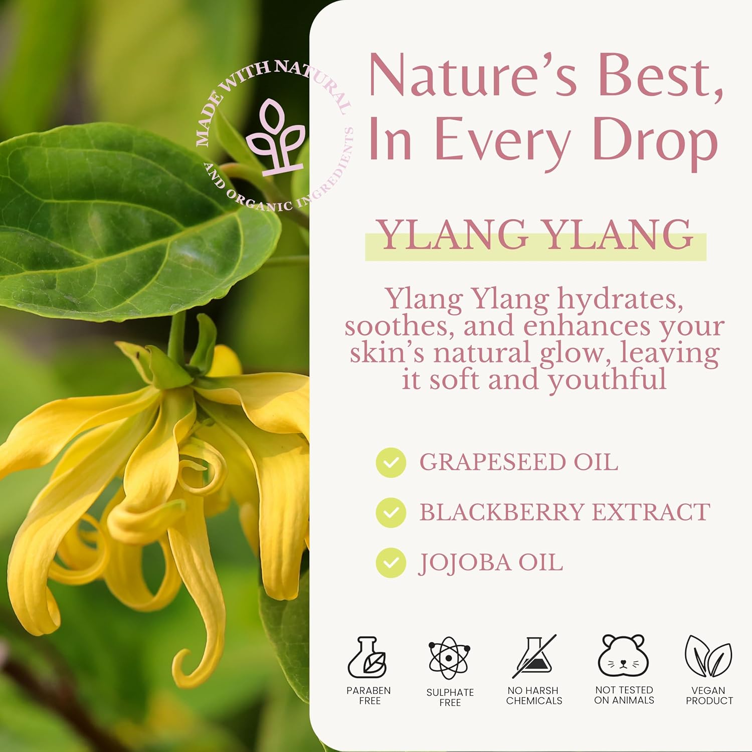 Ylang Ylang Body Wash, Cleanses, Nourishes & Hydrates, Gentle Shower Gel for Dry and Sensitive Skin, Women & Men, Organic & Natural, 16 fl oz, 2-Pack - Image 4