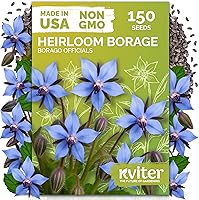 Vista 17 de KVITER 700 semillas de bálsamo de limón para plantar (Melissa Officinalis) - Semillas de hierbas medicinales orgánicas y tradicionales - Cultivar