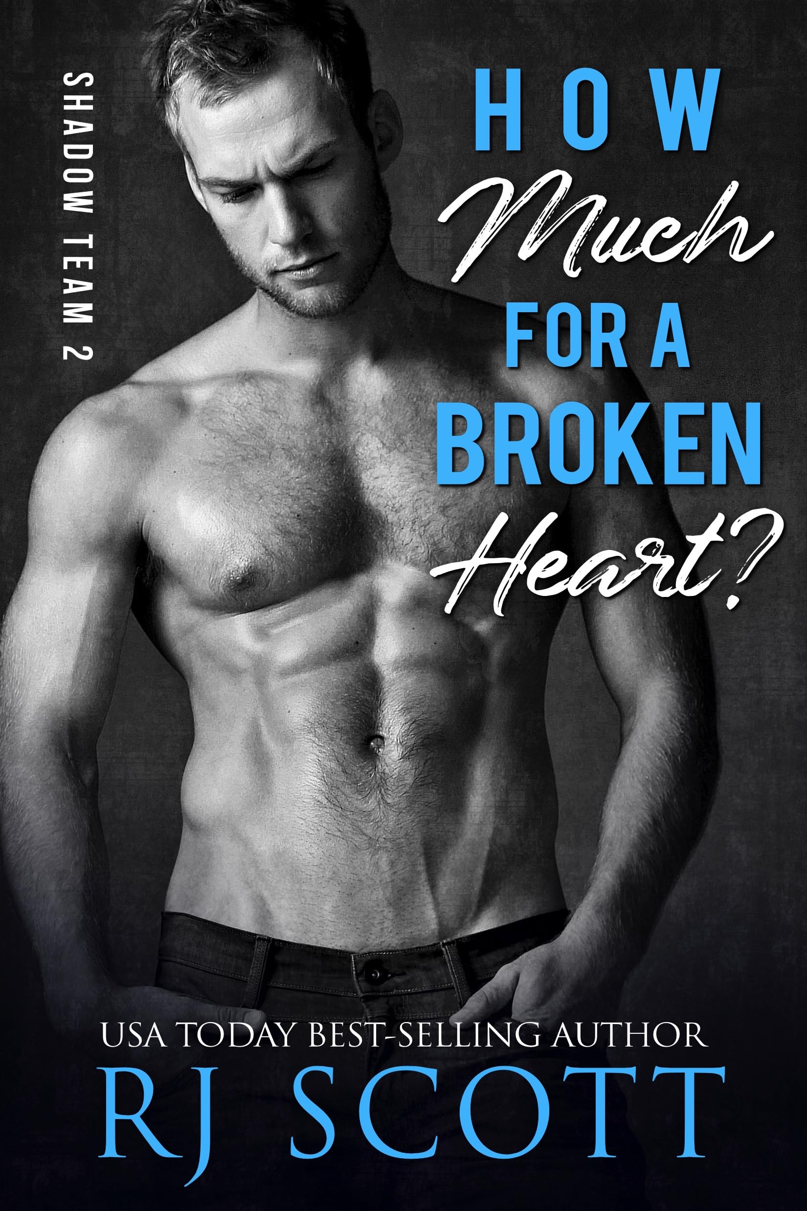 Buy How Much For A Broken Heart? (Shadow Team Book 2) — BookShops.in