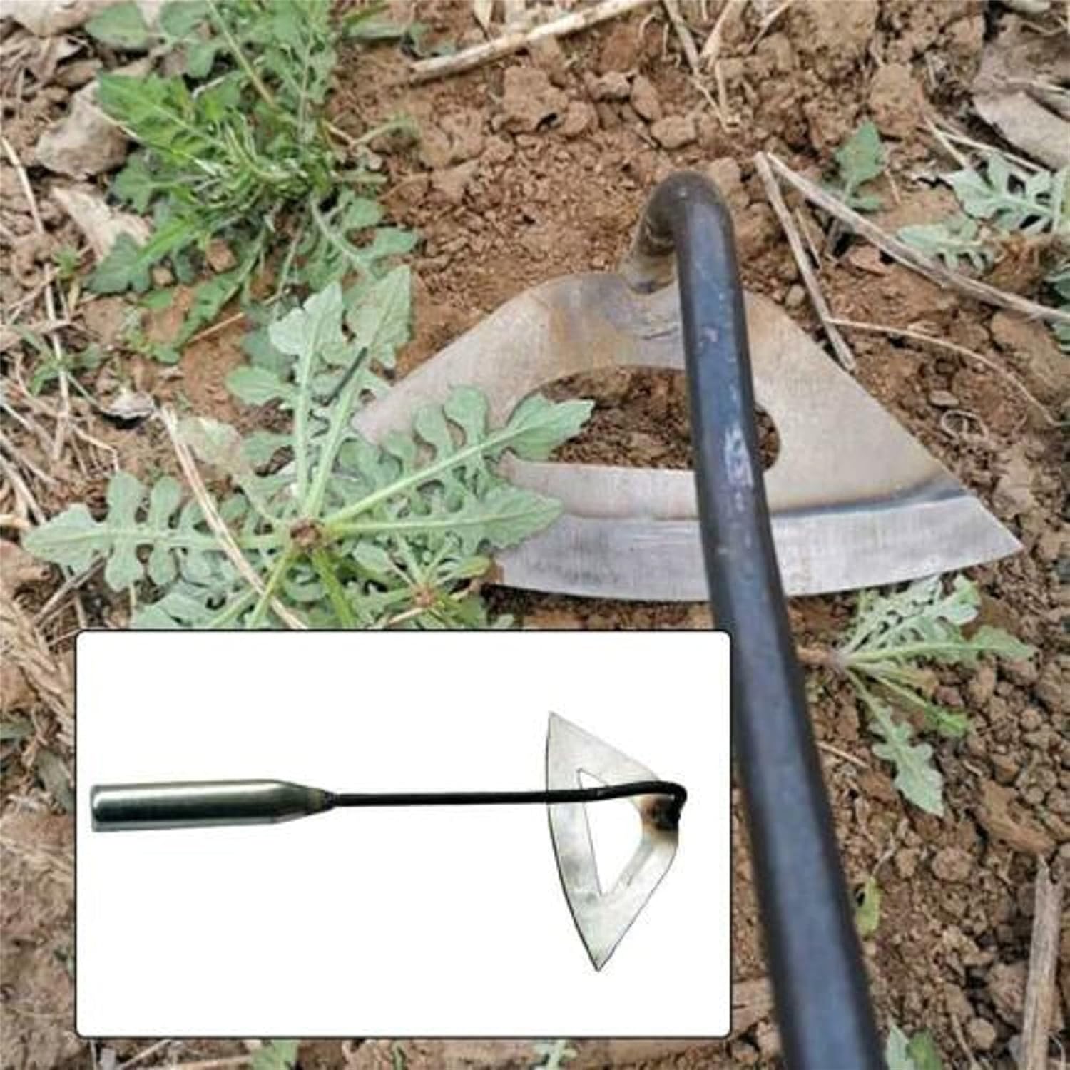 Amazon.com: LANTIAN Azada de jardín – Azada hueco endurecida de acero para  deshierbar mango largo, herramientas de deshierba, fácil de deshierbar y  aflojar el suelo, herramienta de jardín de azada, herramientas de