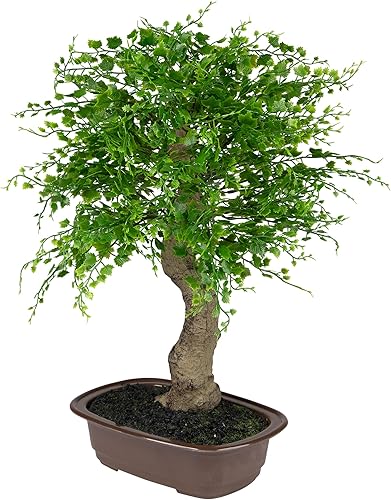 Miniatura 4 de Mini árbol bonsái artificial en maceta - 16"