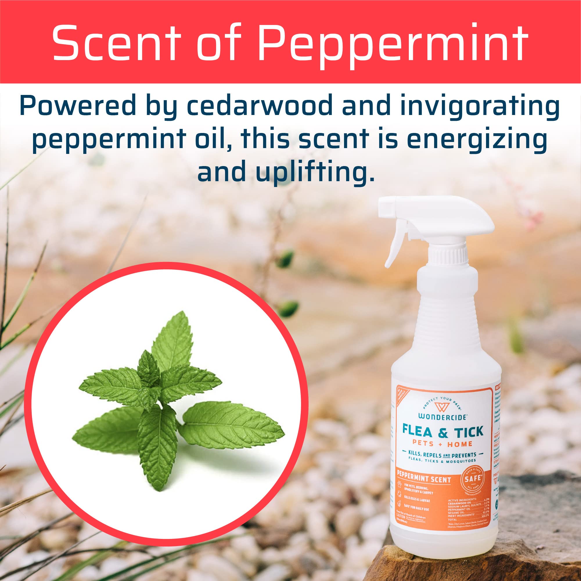 Is The Smell Of Peppermint Harmful To Dogs