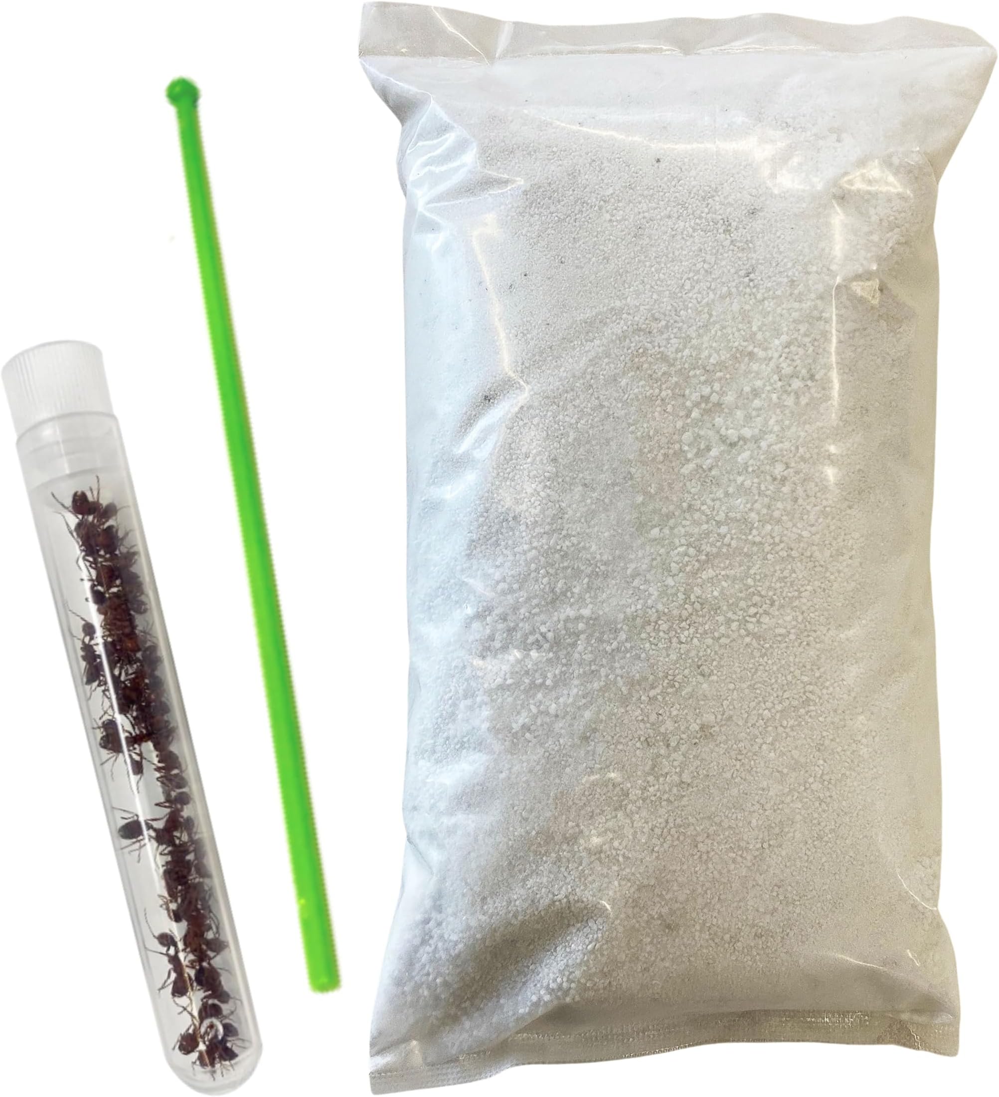 Insect Lore Ant Habitat Refill - 25 Live Ants and Refill Sand - Native Western Harvester Ants