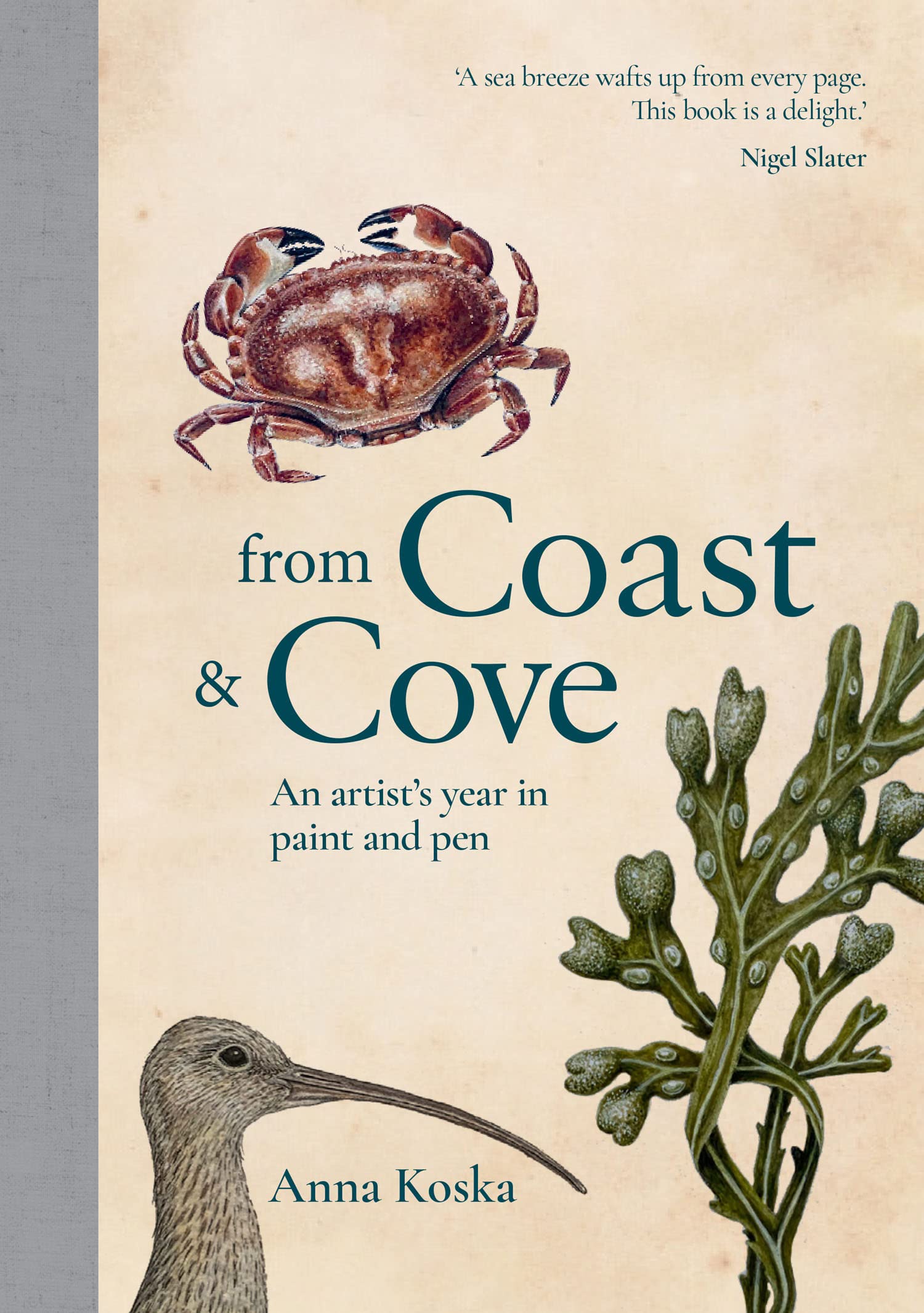 From Coast & Cove beau livre de peinture anglaise pour s'évader au salon