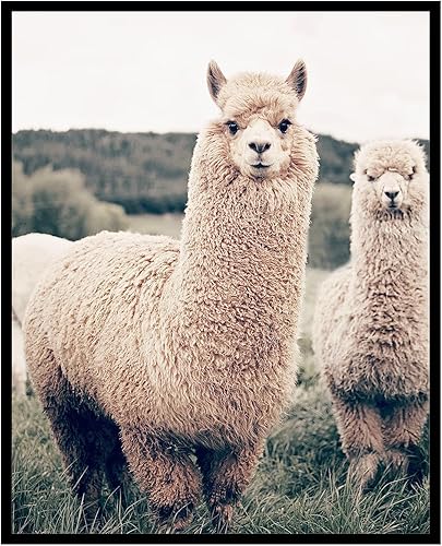 Poster Master Póster de fotografía vintage, impresión retro de naturaleza, arte de pared sin marco, 8 x 10 pulgadas, regalo para artistas, amigos,